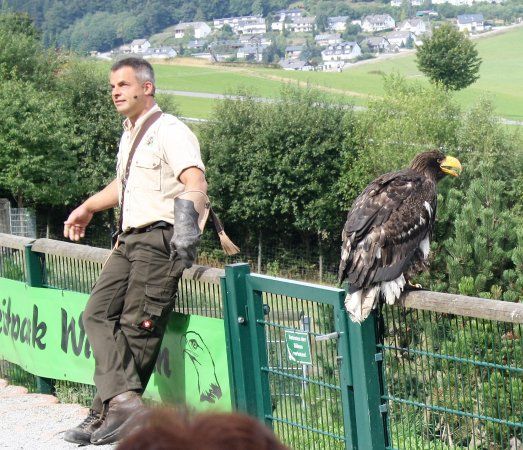 Wild- und Freizeitpark Willingen